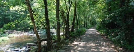 La Ronde Givrée, running trail autour de Castres