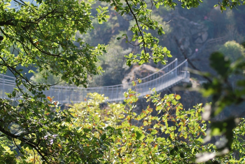 La Passerelle Himalayenne de Mazamet