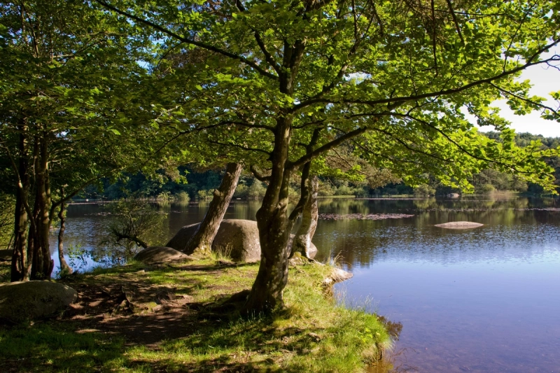 Randonnées dans le Parc naturel régional du Haut Languedoc